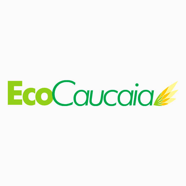 No momento você está vendo EcoCaucaia
